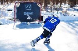 ledni hokej_v_zime