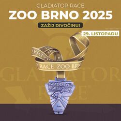 1200x1200px Brno_Medaile