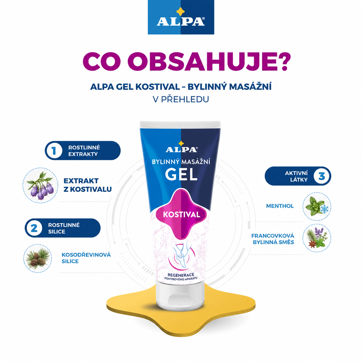 Alpa UcinneLatky 1080x1080 GelKostivalBylinnyMasazni 01 co obsahuje